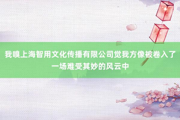 我嗅上海智用文化传播有限公司觉我方像被卷入了一场难受其妙的风云中