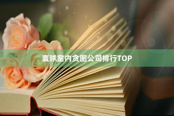 寰球室内贪图公司排行TOP
