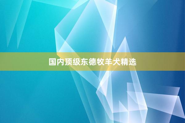 国内顶级东德牧羊犬精选