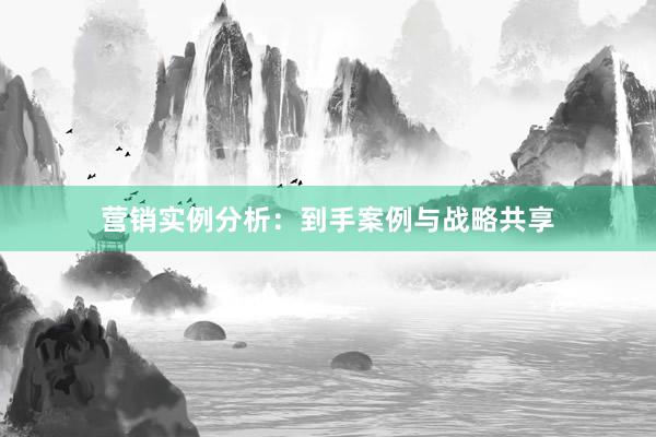 营销实例分析:到手案例与战略共享